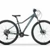 TABOU 29" WIZZ 4.0 MTB 2x10, Steel/ Mint/ Blå -M-Wave Butik TABOU 29 WIZZ 40 MTB 2x10 Steel 1636106141